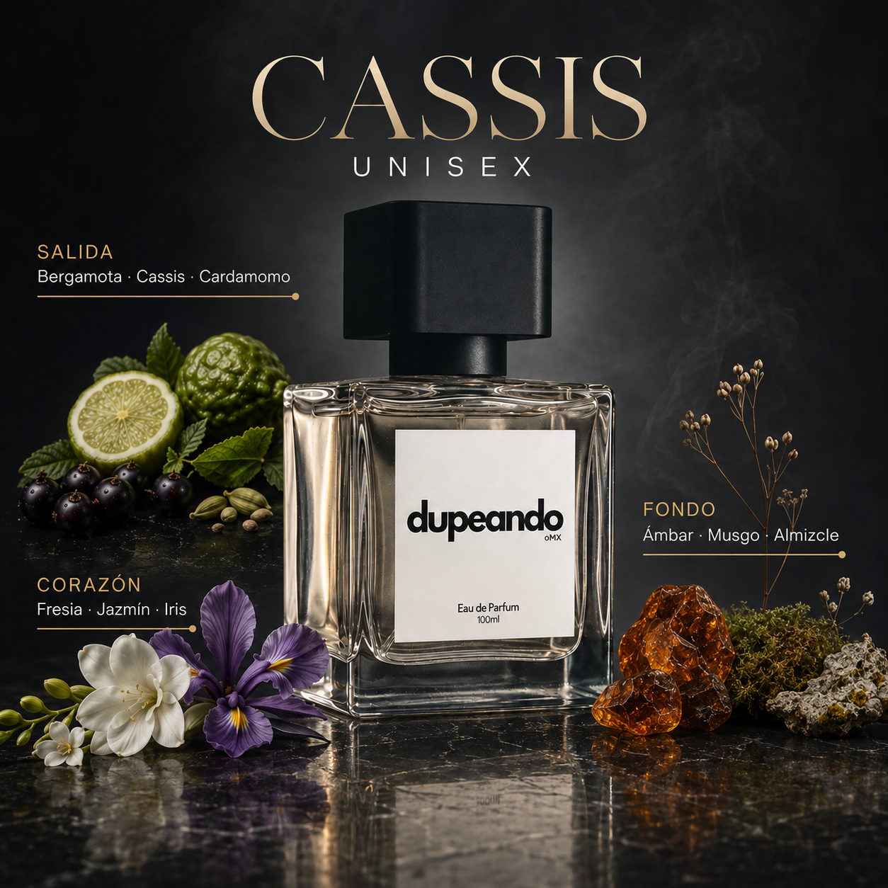 CASSIS